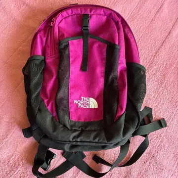 THE NORTH FACE 백팩 백팩 퍼플