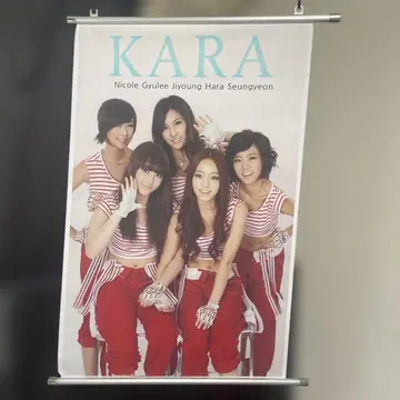 K-pop KARA 태피스트리