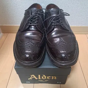 Alden 975 롱윙팁 코도반 9D