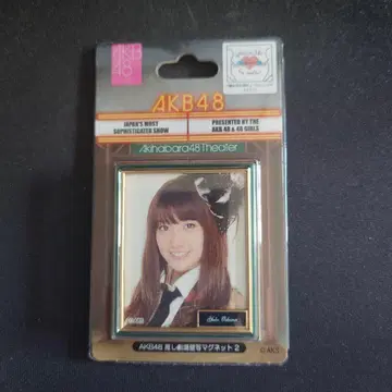 AKB48 최애 극장 벽 사진 마그넷 2 오시마 유코