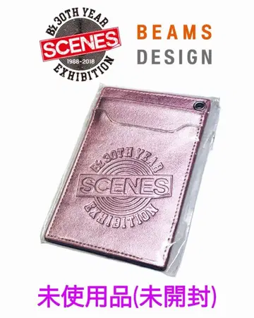 B'z BEAMS DESIGN 빔즈 디자인 패스 케이스 카드 케이스