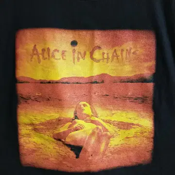 새상품급 Alice in Chains 앨리스 인 체인즈 티셔츠 블랙 L