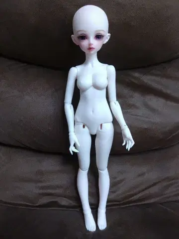 해외 인형 본체