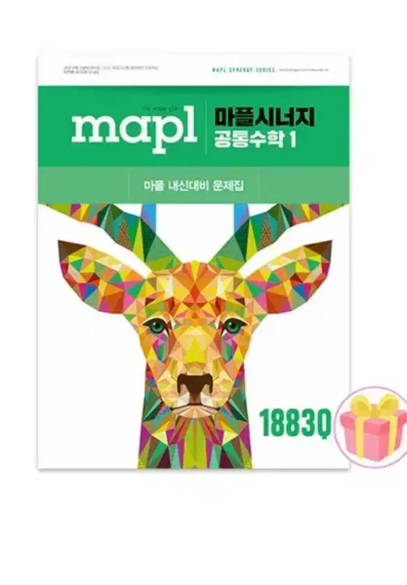 마플시너지 공수1