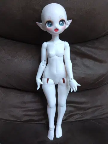 해외 인형 본체