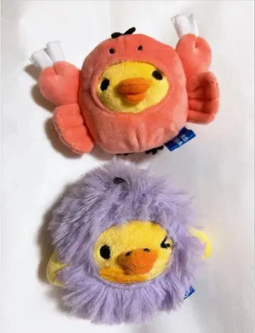 리락쿠마 키이로이토리아쿠아리움 테노리 봉제 인형 가시가시 동료 세트