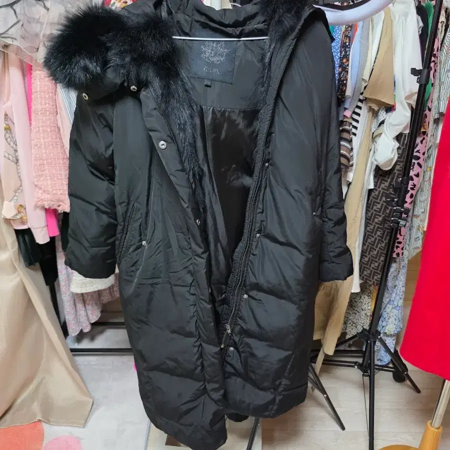 지지피엑스코트