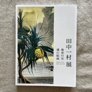 도록 다나카 잇손전 아마미의 빛 혼의 회화