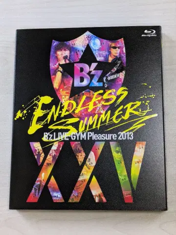Bz LIVE-GYM Pleasure 2013 ENDLESSSUMMER
