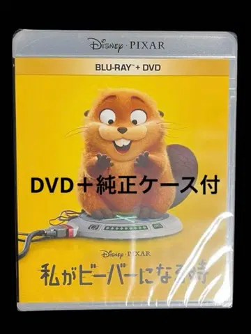 내가 비버가 될 때 DVD 디스크 + 정품 케이스 포함