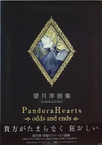 스퀘어 에닉스 모치즈키 준 모치즈키 준 화집 PandoraHearts~odds and ends~ (오비 포함)