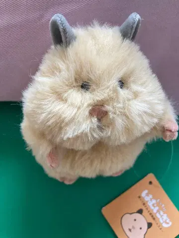 택 포함 새상품 하무니기리 키나코