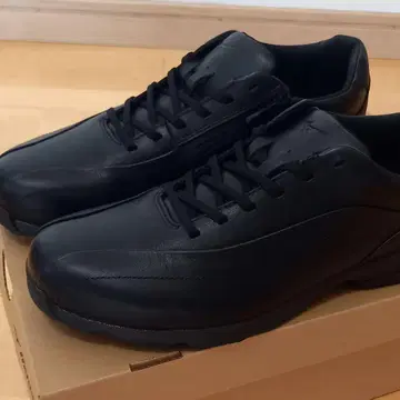 MIZUNO 워킹화 [ 25.5cm ]