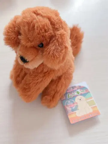 무귯토 무기 봉제 인형 강아지