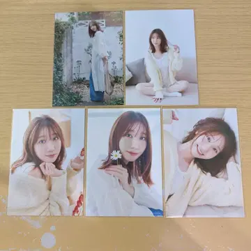 카시와기 유키 시아와세 기념일 브로마이드 5장 컴프 1세트