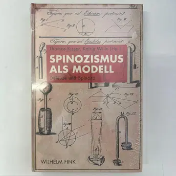 SPINOZISMUS ALS MODELL (No.16)