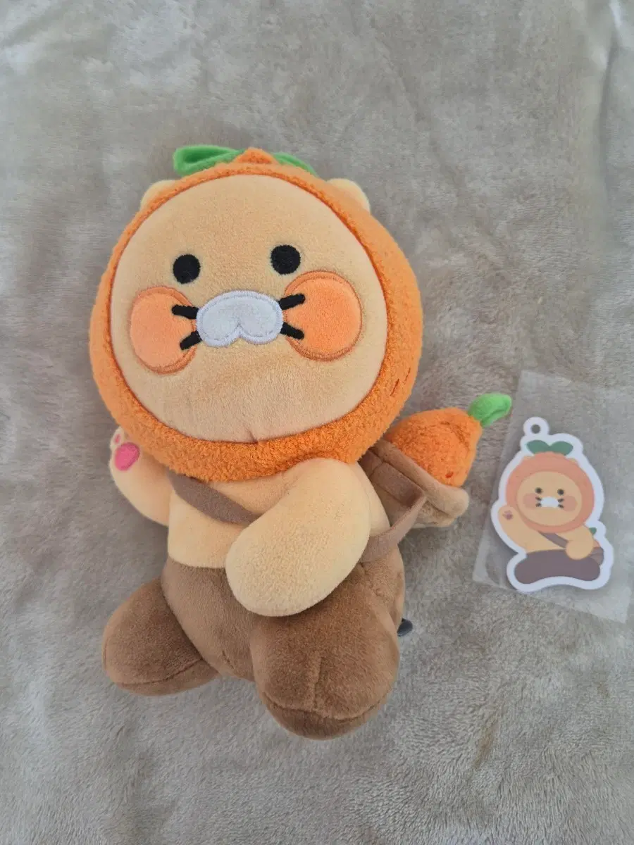 춘식이 제주한정 감귤 인형 (택 포함)