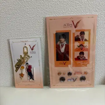ACEes ArenaTour 2026 V 우키쇼 히다카 참 씰 굿즈