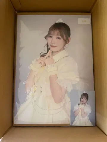 후루사와 리사 A3 포스터 브로마이드 5장 세트