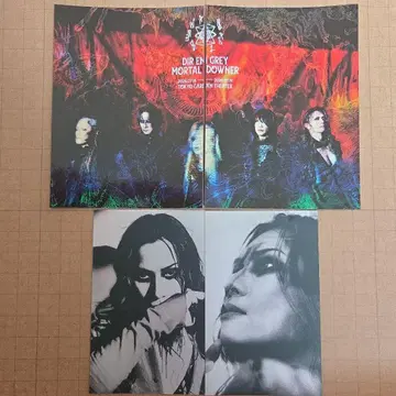 DIR EN GREY mortal downer 스티커 die day1