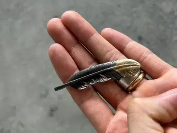 선금 페더