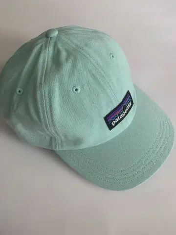 Patagonia P-6 라벨 트래드 캡