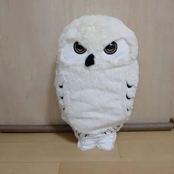 AQUA 올빼미 봉제 인형