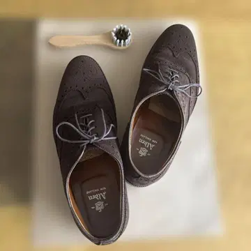 알든 904 스웨이드 윙팁 71/2