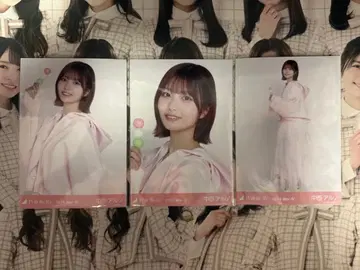 노기자카46 브로마이드 벚꽃 컬러 코디 나카니시 아루노 컴프