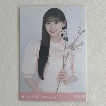 카와사키 사쿠라 벚꽃 컬러 코디 브로마이드