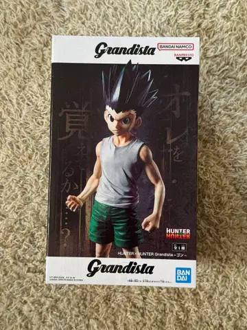 HUNTER x HUNTER Grandista 곤