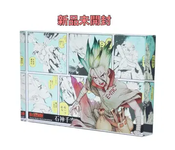 Dr.STONE 닥터스톤 생일 아크릴 블록 이시가미 센쿠