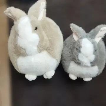 애니멀 쿠션 토끼 2개 세트