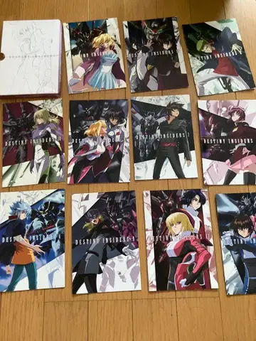 DVD 기동전사 건담 SEED DESTINY 제13권 ] 최초 한정