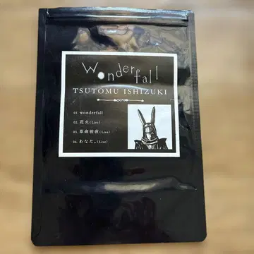 TSUTOMU ISHIZUKI wonderfall 한정판 CD
