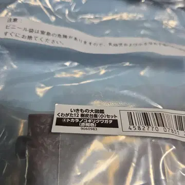 온라인판 생물대도감 장수풍뎅이 12 토카라사슴벌레