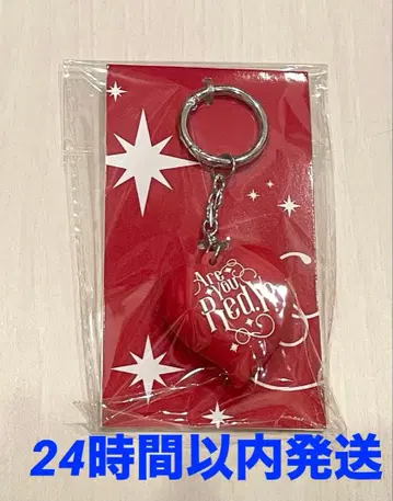 미개봉 새상품 야마다 료스케 Are You Red.Y? 로고 키링