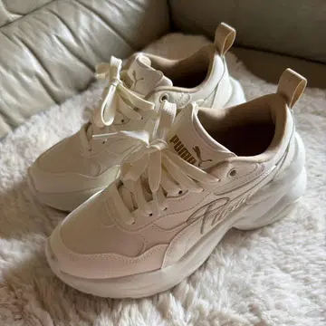 PUMA 푸마 통굽 스니커즈 오크 애니멀 23cm 새상품급 1회 사용