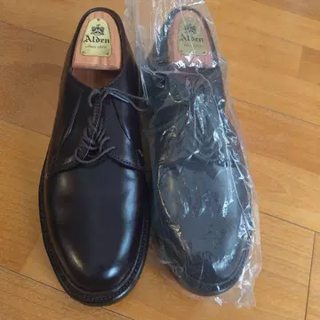 Alden 9903 플레인토 신발 슈트리 포함
