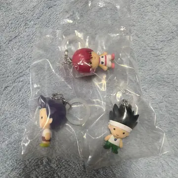 HUNTER x HUNTER 메지루시 액세서리 곤 레이저 히소카