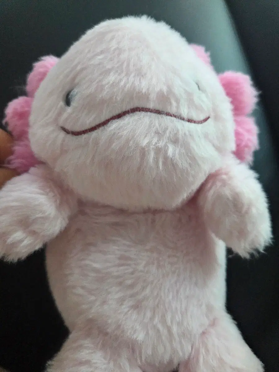 자세교정 인형