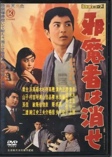 오피스 와이케이 일본 국내 영화 DVD 방해자는 없애라