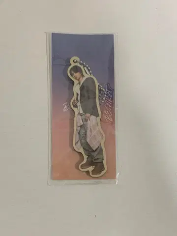 비파 Missing JUNON 액츄얼 아크릴 참 키링