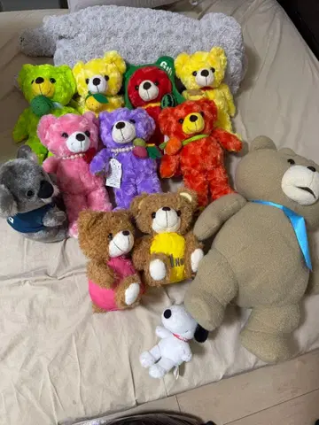 곰 인형 테디베어 묶음 판매