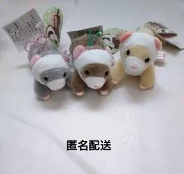 [ 미사용 새상품 ] 쿠타리롱구 페렛 내추럴 VMC 3개 세트