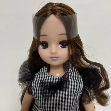 리카짱 인형 본체 브라운 헤어 체크 무늬 드레스 포함