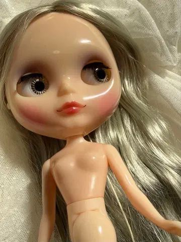 네오 브라이스/스텔라 세렌디피타스 본체만 하자 있음