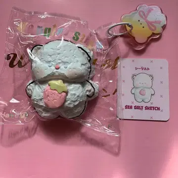 문청 강인한 아기곰 씨솔트