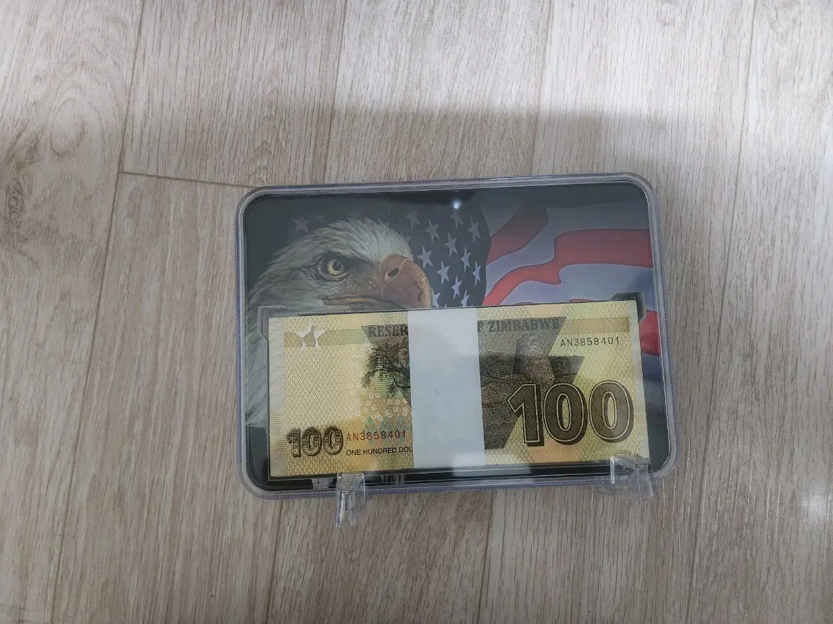 지폐 수집 케이스 독수리 디자인 100달러 다뱔