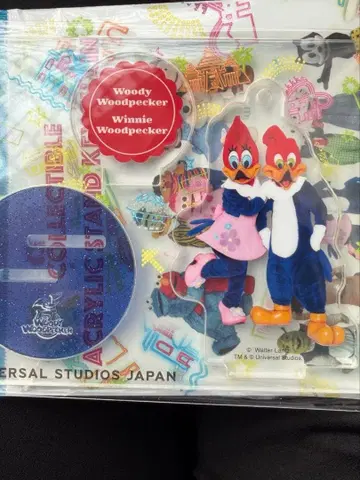 USJ 콜렉터블 아크릴 스탠드 키체인 우디 우드페커